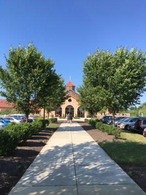 The walk to Our Lady of Guadalupe