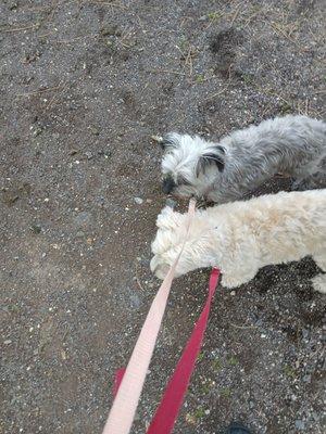 Benny with his sister Stella.