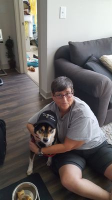 Max wearing a De's Dog Walking Service hat before his walk.