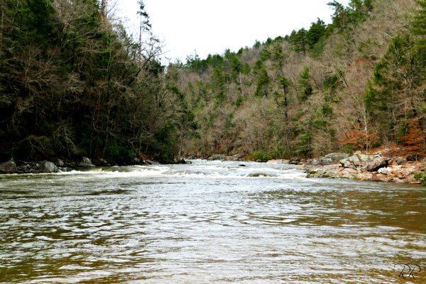 Chattooga River Fly Shop