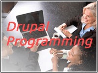 Drupal CMS allows you to easily update your site without hiring a programmer.