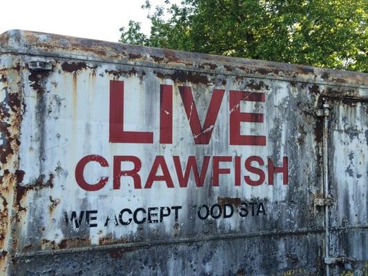 Apparently they accept food stamps for live crawfish...