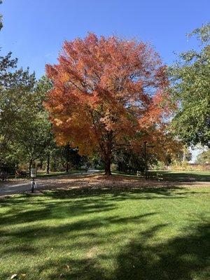 Green belt trail