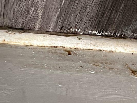 Mold in bathroom