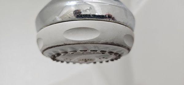 Dirty shower head.