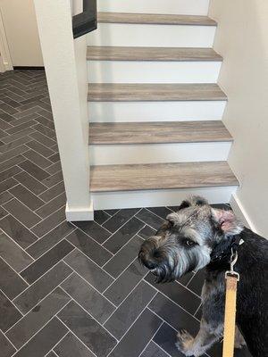 New slate tile and stairs