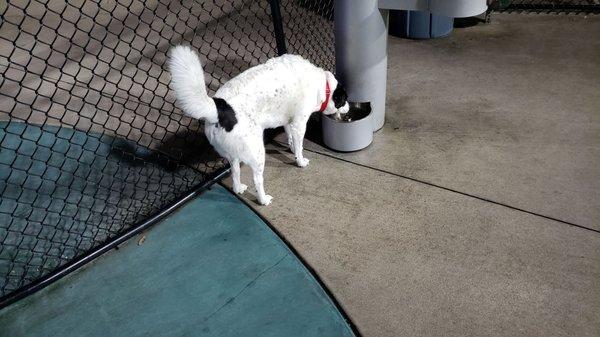 Clean fresh water drinking fountain.