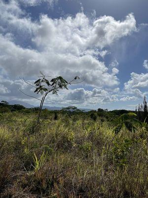 North Shore EcoTours