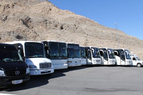 LD Tours Fleet