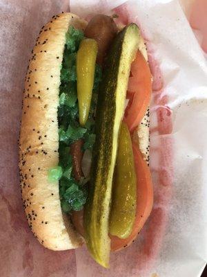 Chicago hot dog!