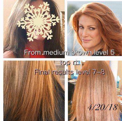 A. Med dark brown B. Top Lft desired color C.D. Bottom photos final results after multiple corrective color sessions . Reviewer J. H