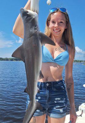 Sharks in Navarre!!!  First shark....