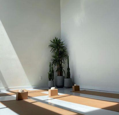 Natural Sunlight is a game changer! Most yoga studios don't have windows =-)