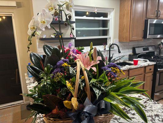 Beautiful Plant Basket (Premium)