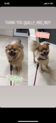 Before and after full groom.