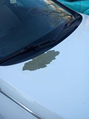 Hyundai factory paint damage