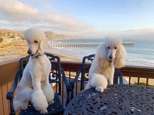 Marty and Carter take in a beautiful view