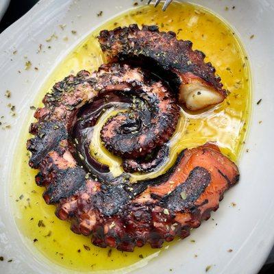 Grilled octopus