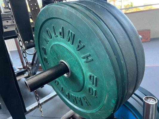 Gym Equipment at Malibu Fitness