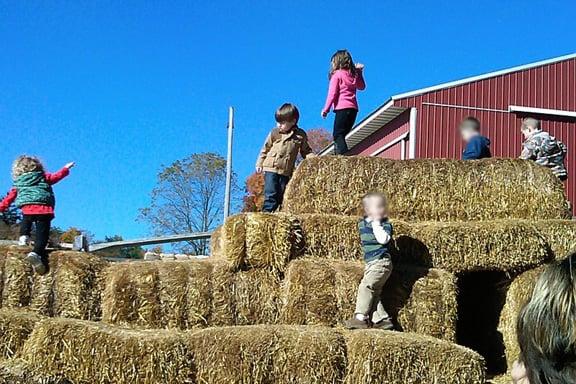 Fall hay maze