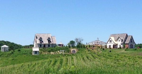 rolling vineyard with old-world cottages in the back drop