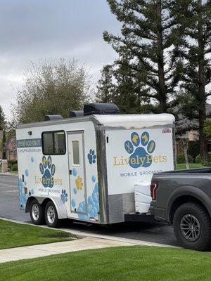 LivelyPets Mobile Grooming