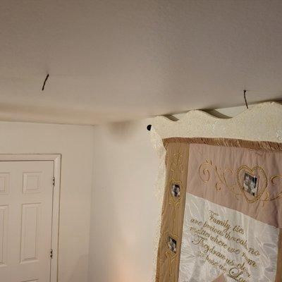 Termite tubes directly over my bed!