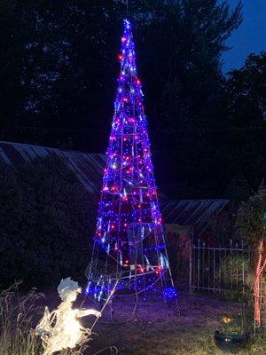 A beautiful summertime tree lit up the outside seating.