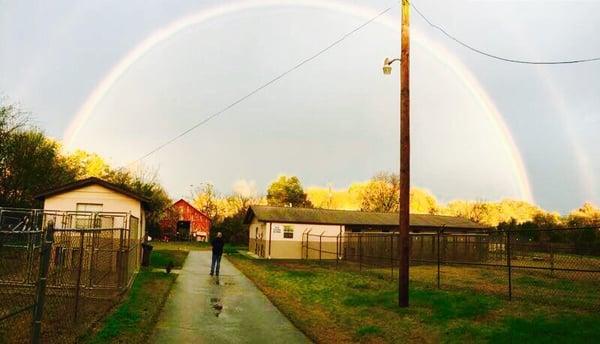 Our peaceful country kennel with a gorgeous rainbow over it!