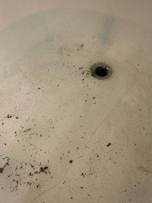 More poop floating into the bathtub after they told us it was fixed.