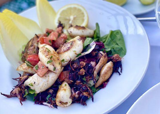 Grilled Calamari Salad... very tasty!!