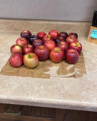 The apples we picked post-wash, they'll make a lovely apple crisp!