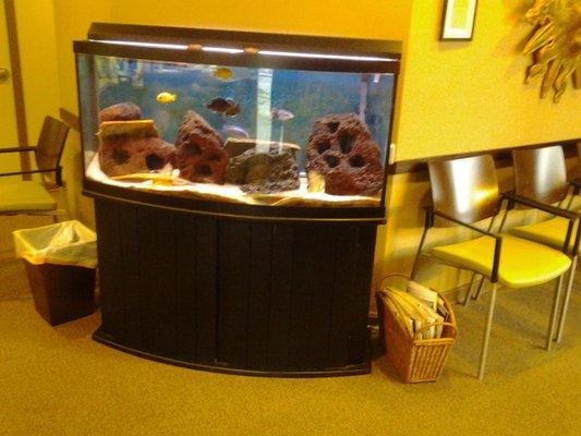 Fish Tank