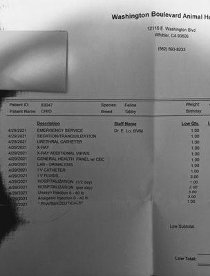 Tests ordered at hospital that did treat this urgently. Note obstruction was removed along with syringes of bloody urine.