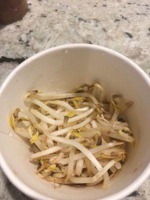 Gross rotten bean sprouts brown almost black!