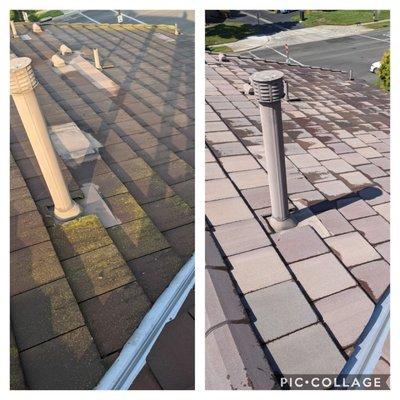 Before and after roof washing