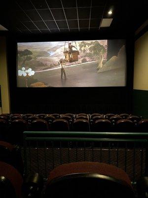 Tiny movie screen