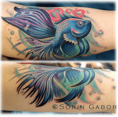 Beta fish by Sorin