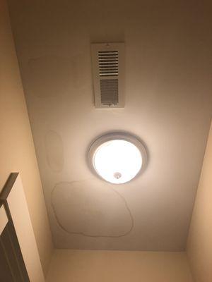 Most recent leak. Third time same spot in 4 years. (Master bathroom)