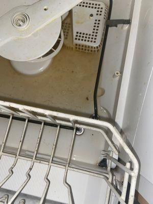 Very dirty "new" dishwasher.