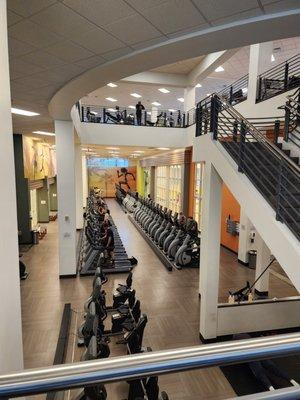 Cardio floor downstairs with weights upstairs