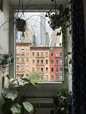 Bedroom with plants