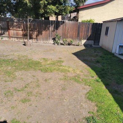 Before (sod installation)