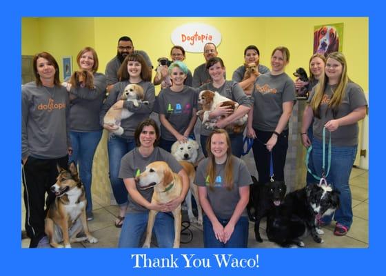 Your Dogtopia Waco Team