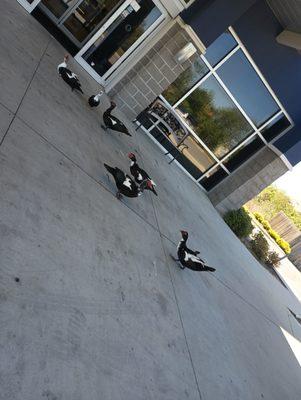 These are the ducks from the pond out front of the doctors office. They are as friendly as the rest of the staff.