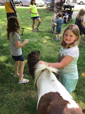 Library petting zoo in park