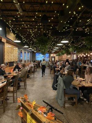 Love the plants and Christmas lights on the ceiling!