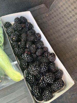 Blackberries!