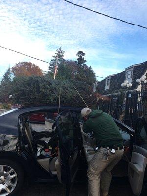 Tying the tree onto my car took less than a minute!