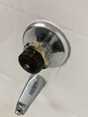 Nasty "shower handle"